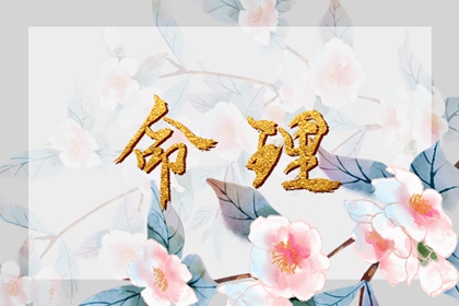 择吉皇历老黄历,2026年择吉黄历,老黄历最准确版本万年历